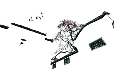 《无梦到徽州》——中国徽州独特的建筑风格，黛瓦白墙，红柿飞雁，叹为观止。