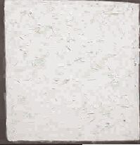 ■ 美国艺术家罗伯特·雷曼的空白画