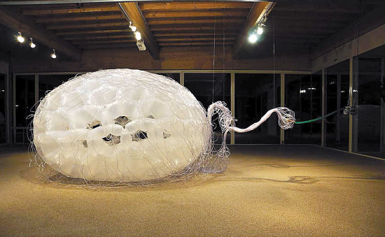 《一个生命的时光胶囊》罗纳德·范德·梅斯 荷兰 2013年 MDPE塑料购物袋，PVC空气管，气泵，行动探测器，铜