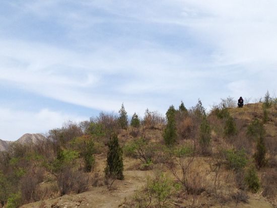 大咖拍卖：做有温度的艺术品电商