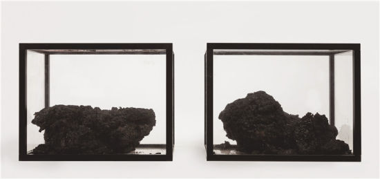 何翔宇(B.1986)可乐计划