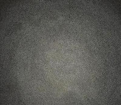 陈飞 2009年 《熊熊的野心》240×190cm 苏富比（北京）拍卖有限公司 现当代中国艺术拍卖会 现当代中国艺术专场 RMB 5,428,000 陈飞，2007年新锐绘画奖银奖作者。