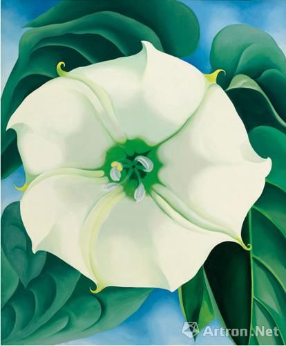 乔治亚·欧姬芙作品《曼陀罗 白花1号》，成交价4440万美元