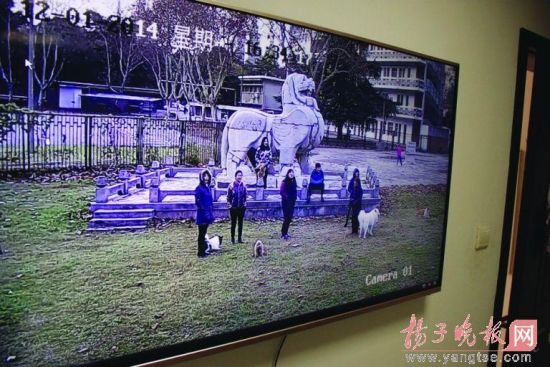 厦门艺术品拍卖趋平民化