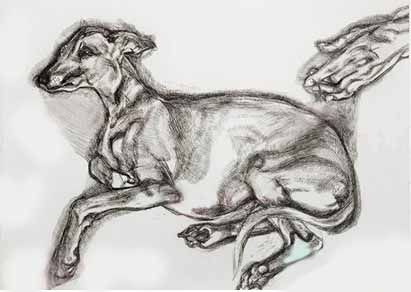 图为二十世纪杰出艺术家卢西安的珍贵蚀刻版画名作《PlutoAgedTwelve》