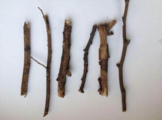 这六根树枝，因卖家形容其和英国辣妹组合成员一样个性迥异，而以高价被卖出