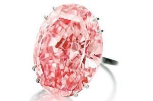 最贵钻石中标不付款