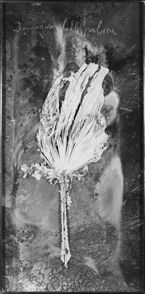 安塞姆·基弗作品《圣枝主日》。