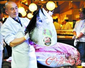 这条蓝鳍金枪鱼拍卖后被“肢解”