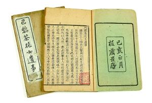 2012西泠秋拍 《巴黎茶花女遗事》。