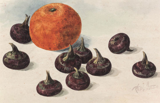  陶冷月 柑橘荸荠 1955年 纸本水彩 15.5×24cm 出版：《陶冷月》，上海书画出版社，2005年，第540页 RMB 180,000-220,000