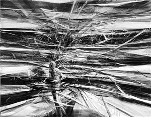 2014年10月5日，香港苏富比“现当代亚洲艺术晚间拍卖”上，贾蔼力《疯景1号》以980万港币高价落槌。