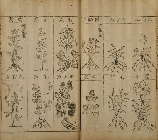 2015西泠春拍 本草纲目(祖本)