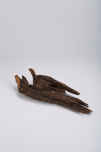 Lot 1816加里曼旦得拉干特级沉香 　L:36cm;410g