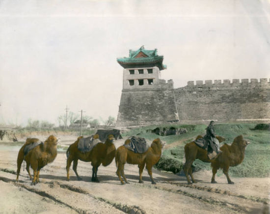 Lot 0044 佚名 北京城墙外骆驼队 1910s 银盐纸基，手工上色 21×27 cm 8.3×10.6 in.