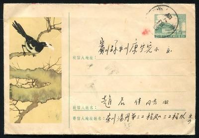 1958年云南东川寄云南宝川普9型9-1957美术邮资封喜鹊