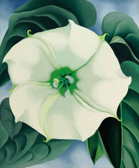 《White Flower No 1》