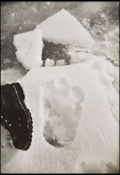 第一组记录雪人足迹照片上拍