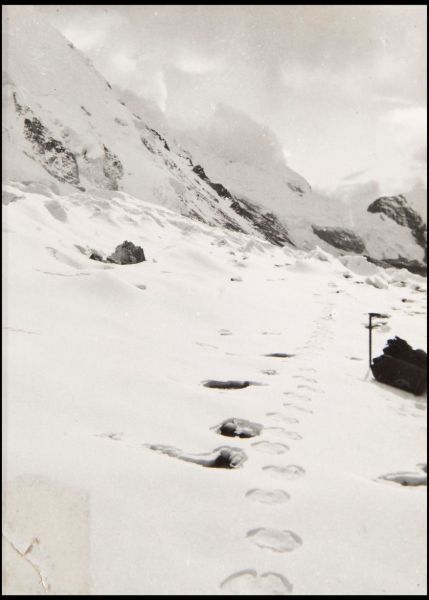第一组记录雪人足迹照片上拍