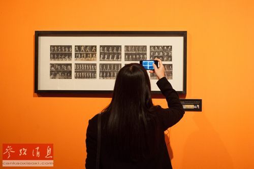 资料图片：2013年12月2日，一位参观者在展览上拍摄英国艺术家弗朗西斯·培根的作品。新华社记者 李芒茫 摄