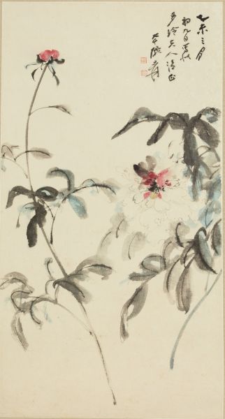 张大千(1899-1983) 芍药