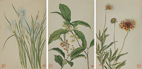  陶冷月 花卉（十二幅） 水彩纸本 1920年作  著录：《陶冷月（中）》, 第218-219页，上海书画出版社，2005年8月。