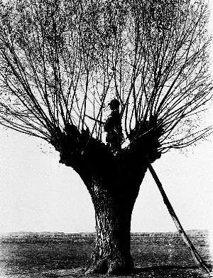 《延安哨兵》 　这张照片是徐肖冰最重要的代表作。他在1937年参加八路军，在抗日战争、解放战争年代，拍摄了大量的纪实影片与图片。