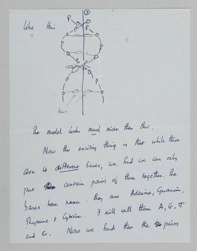 弗朗西斯·克里克写给儿子的信件中的一页
