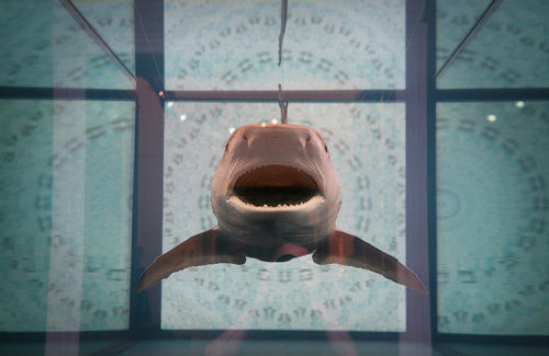 泡在福尔马林中的鲨鱼是达明·赫斯特的标志性作品