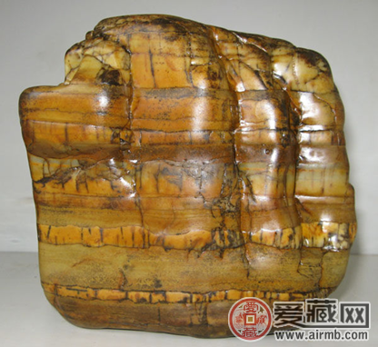 鉴赏大化石图片