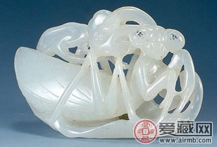 关于俄罗斯玉你懂多少?