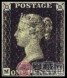 关于黑便士你了解多少