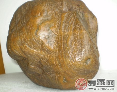 木化石图片和价格行情