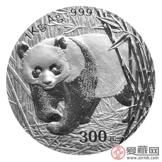 2002年02公斤猫图片与价格