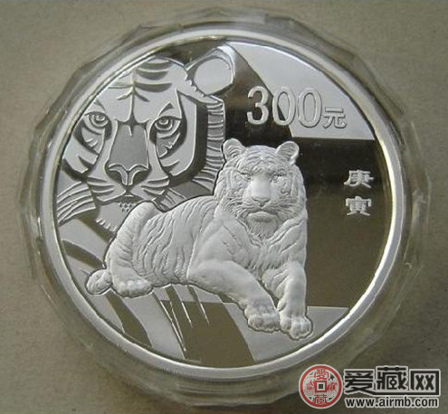 2010年公斤虎图片和价格