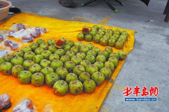 收藏“偏门”青岛走红 两个核桃叫价上万元(图)