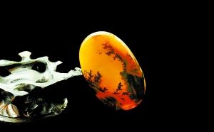 疯狂黄龙玉 冷静做收藏