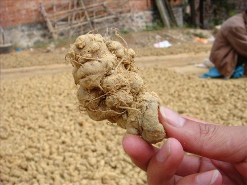 组图:哪些收藏品只赚不赔 黄龙玉五年涨千倍