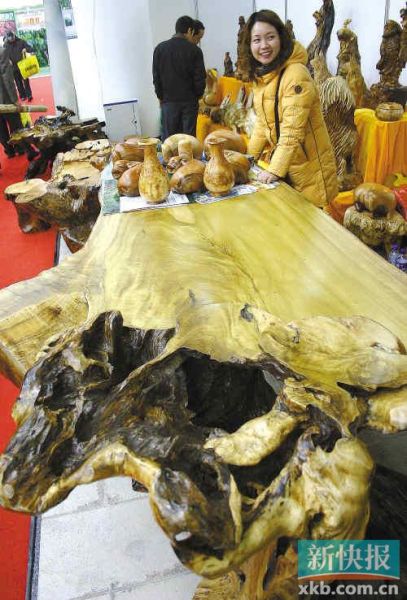 在南京展出的一张楠木根雕桌让参观者大饱眼福。据了解，这张楠木根雕桌的桌面在树根上做成，并保留了其余的树根作装饰。CFP供图（资料图片）