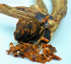 价超黄金：沉香，天然仍是收藏首选