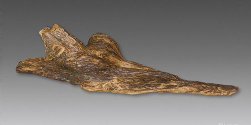 这些年被央视曝光6类疯狂收藏品的前世今生