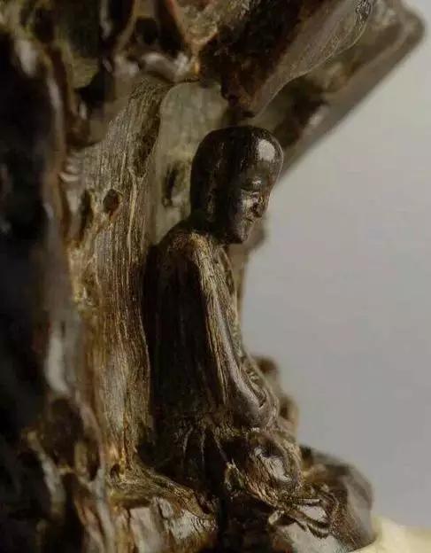 沉香树在遭受到雷击、风折、虫害感染或人畜危害等各种伤害时，自身会分泌树脂修补受伤部位。某些伤口由于在开放期感染真菌，受伤部位难以完成真正意义上的愈合，因此开启了为治疗创伤持久的、奇妙的沉香制造与累积的过程。甚至经历数百年漫长岁月，才诞生了珍惜的优质沉香。