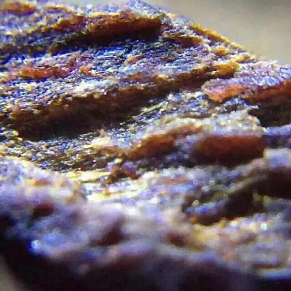 木中钻石 奇楠沉香的收藏价值