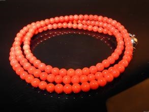 “一树红花照碧海，一团火焰出水来”！这句流行于70年代的歌曲唱的正是珊瑚，这首《珊瑚颂》也唱出了珊瑚的红火、气势和千娇百媚。