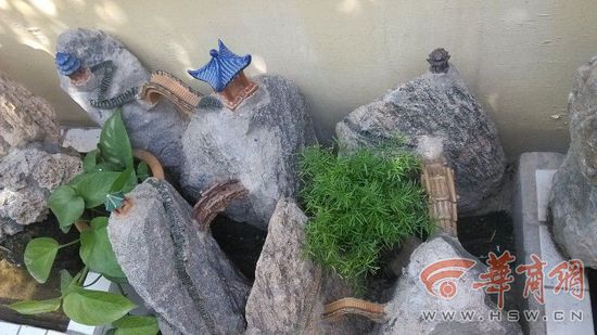 宝鸡57岁老人收藏奇石 打造山水微景观(组图)