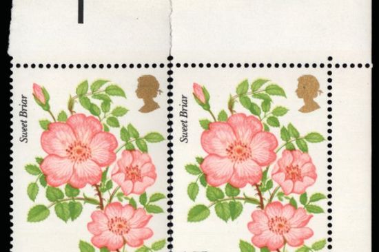 这枚邮票1978年诞生时价值13便士，但是现在却值13万英镑。这里的吊诡之处在于，由于某种原因，13便士的面值居然没有印上去。这种邮票传世只有三枚，两枚属于英国女王，一枚属于Stanley Gibbons的某位客户。