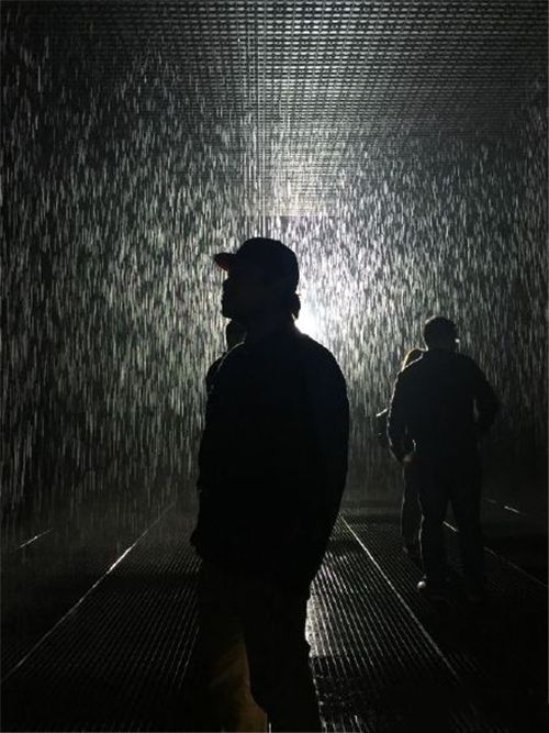 工作室也挂着艺术家