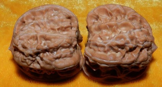 文玩核桃狮子头大全，考验眼力的时候来了！（一）