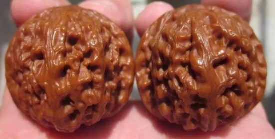 老款狮子头核桃是文玩核桃里历史最悠久的一款核桃。京津冀3地曾都有出产，现仅河北有极少量出产。外型端庄厚重，正圆侧方，核桃肚饱满、桩象端正、桩矮厚边、尖小而钝。小十字尖和一字尖都有，纹路深而舒展，底部硕大厚实且平整，皮质密度极大，手头很重，上色较慢，但盘玩出来的颜色漂亮，量稀价高。