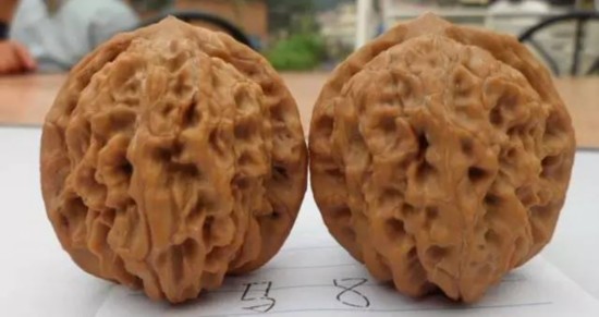 文玩核桃狮子头大全，考验眼力的时候来了！（一）